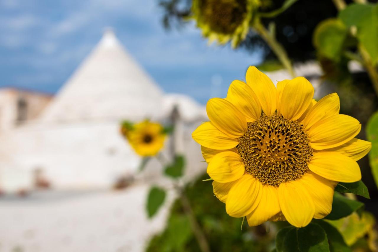 Masseria Mezza Ruota Alberobello Esterno foto